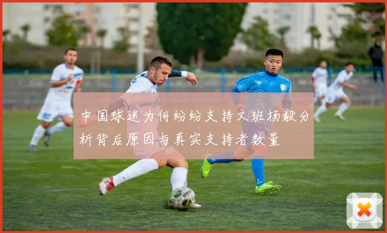 中国球迷为何纷纷支持文班杨毅分析背后原因与真实支持者数量